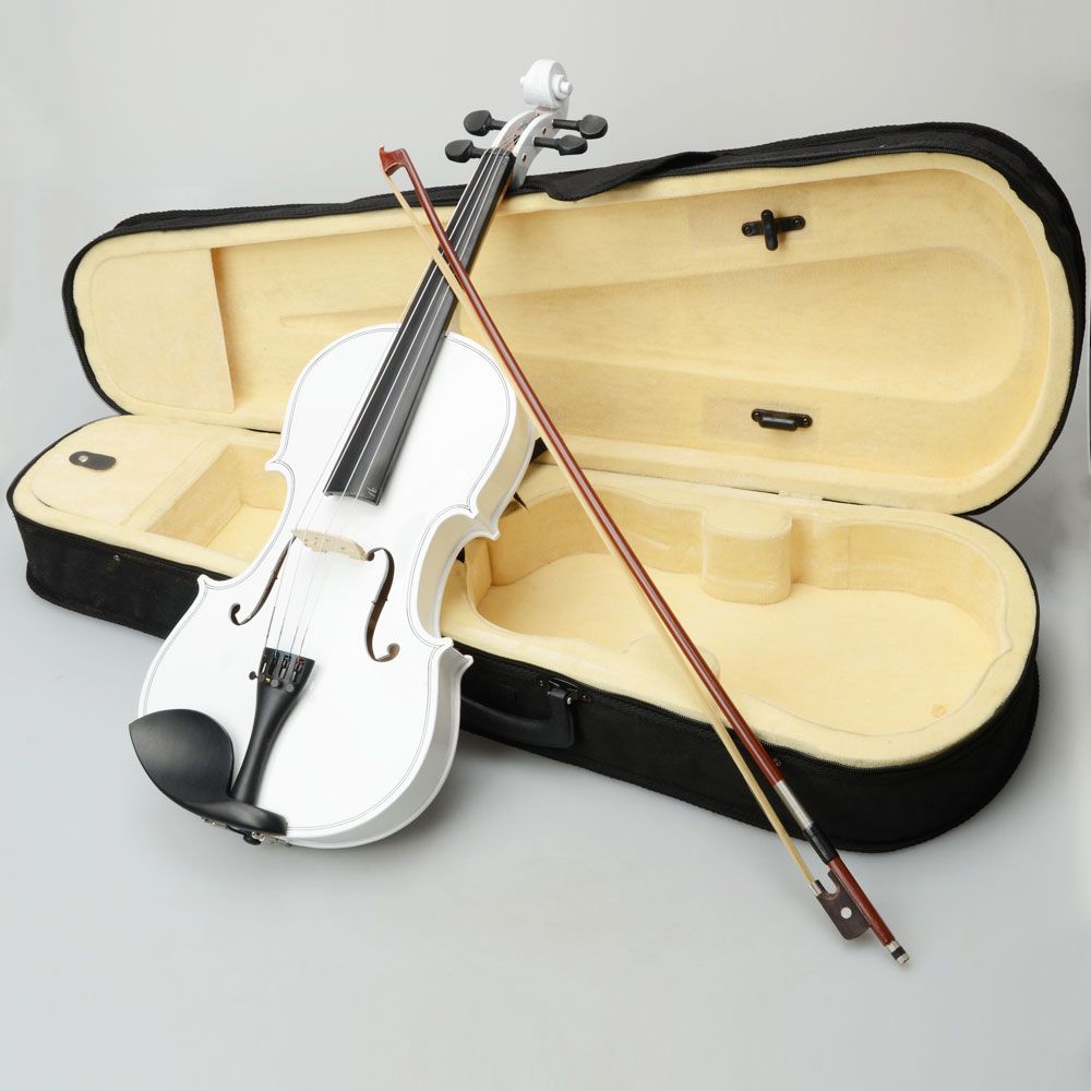 2019 16 acoustic viola