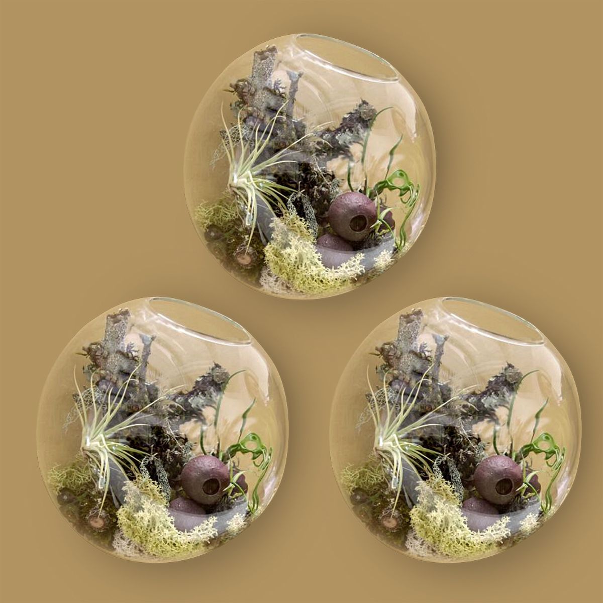 3pcs Set Bubble Terrariums Indoor Wall Glass Vase Mount Planters For Succulent Air Plants Holders Decor Home