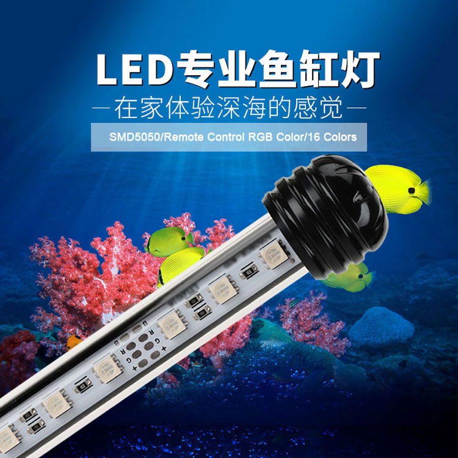 2019 aquarium fish tank