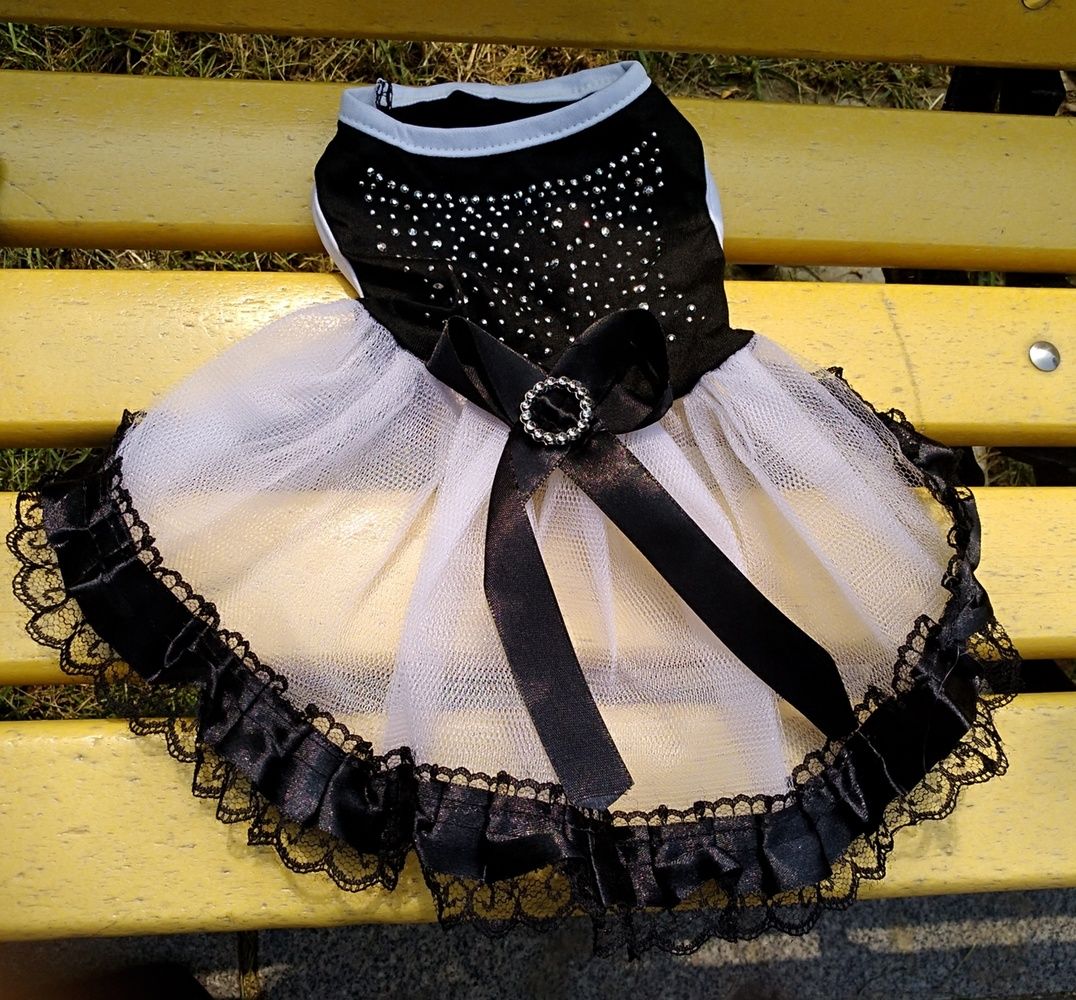 Dog Birthday Party Dress
