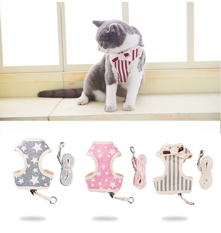 walking toy cat with lead
