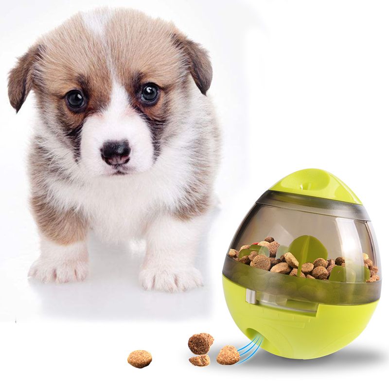 chien interactif