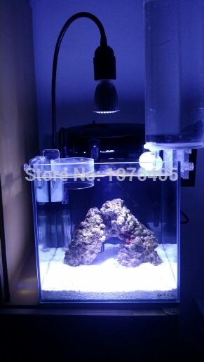 customize colors led light