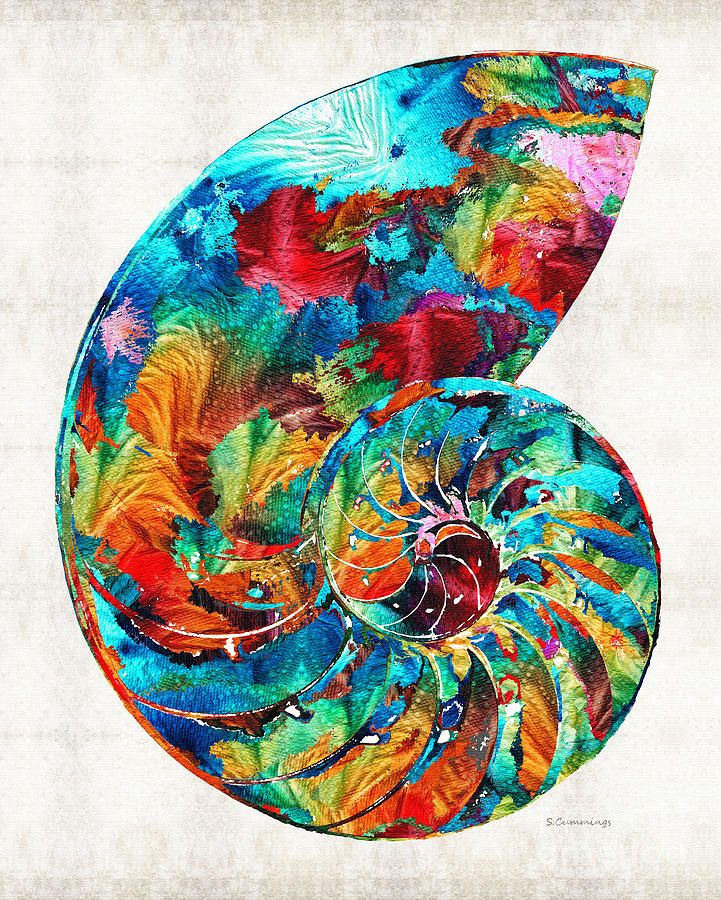 21 Giclee The Urge To Merge Colorful Nautilus Shell By Oil Painting Arts And Canvas Wall Decoration Art Oil Painting On Canvas From Youmeart 27 68 Dhgate Com 21 Giclee The Urge To Merge Colorful Nautilus Shell By Oil Painting Arts And Canvas Wall Decoration Art Oil Painting On Canvas From Youmeart 27 68 Dhgate Com