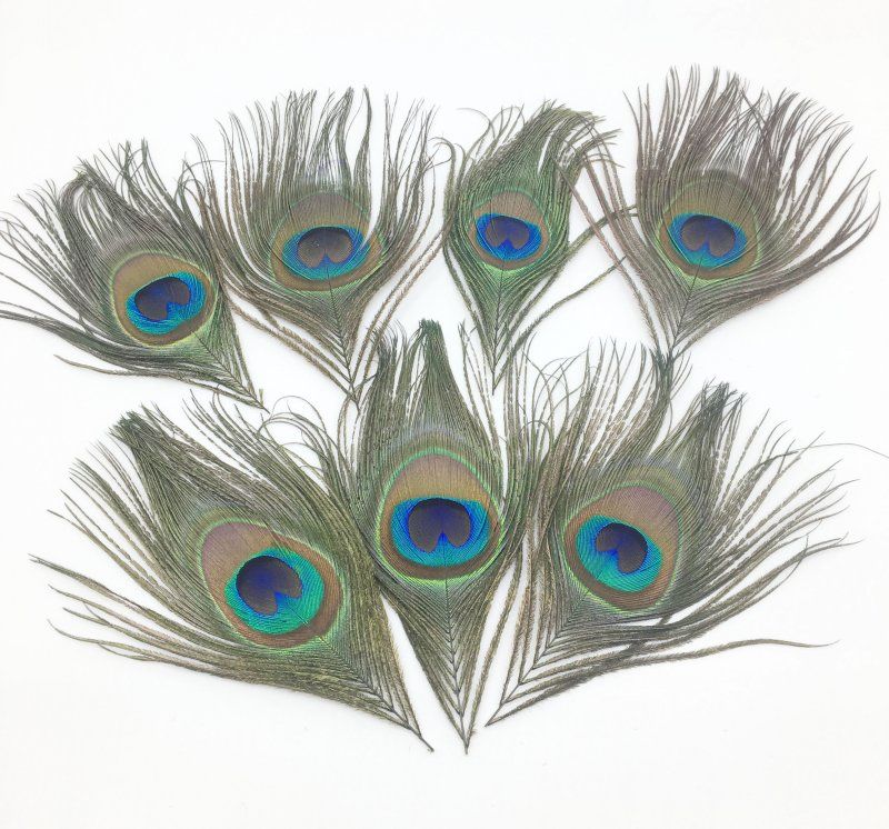 Venta al por mayor / longitud: 10-15 cm, pluma hermosa del pavo real natural para la etapa del banquete de boda Adorne la manera realmente pluma del pato real