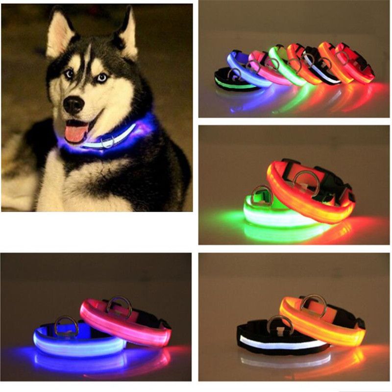 2020 Pet Dog Collar LED Flash Collars Dog Cat Collars Flashlights Dibo