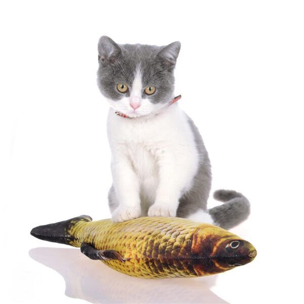jouet chat poisson