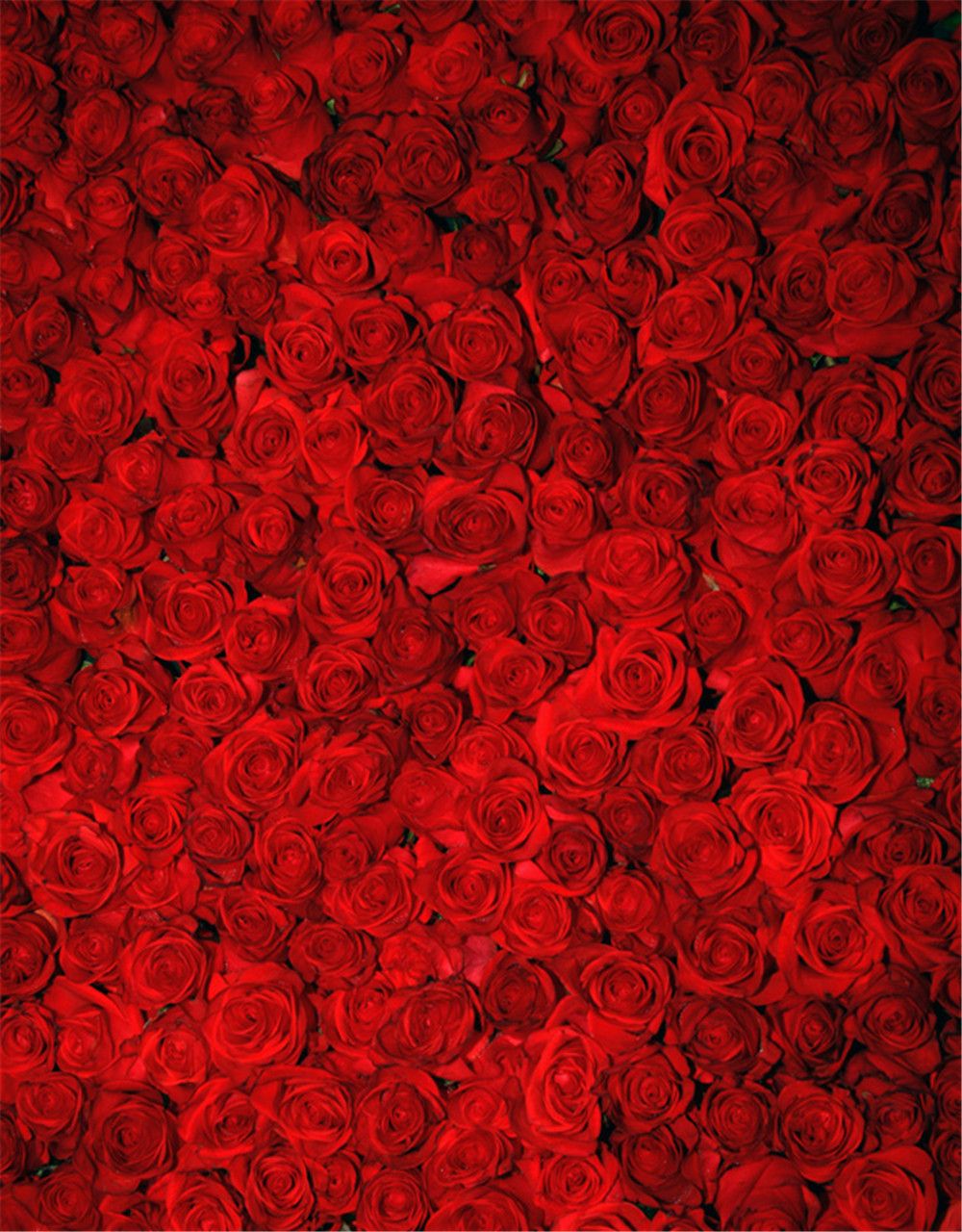 2019 red roses floral