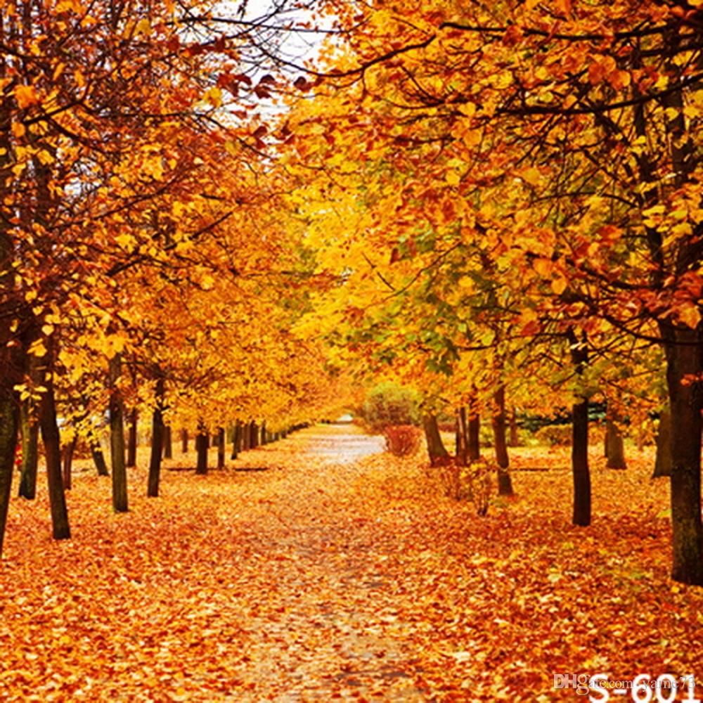 2019 Vinyl Autumn Fall MapleYellow Tree Leaves Photography ...