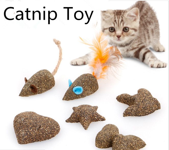 kitten toys