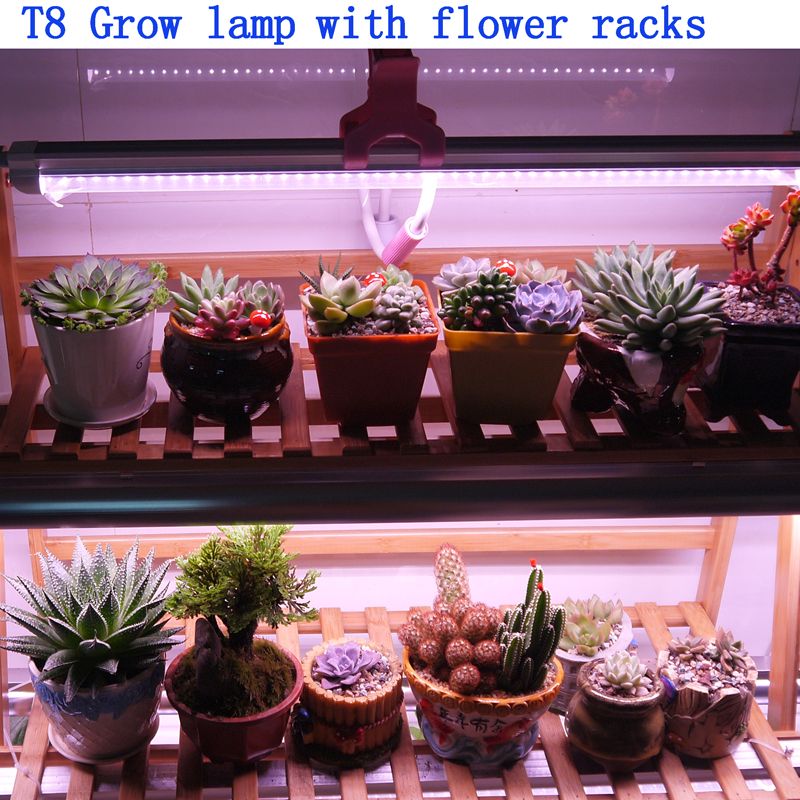 Lámpara Para Cultivo Espectro Completo Flor La De Racks Crecimiento T8 FloresLuz Invernadero Plantas bY6gf7y