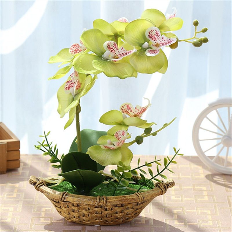 Decorare La Casa Con Le Orchidee Grazia