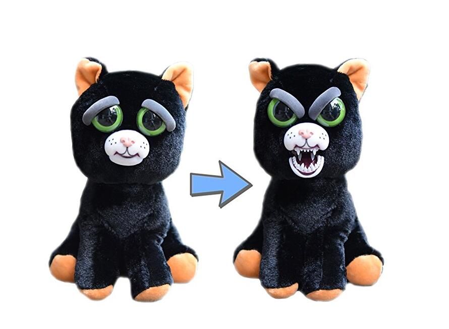 butterfly feisty pet