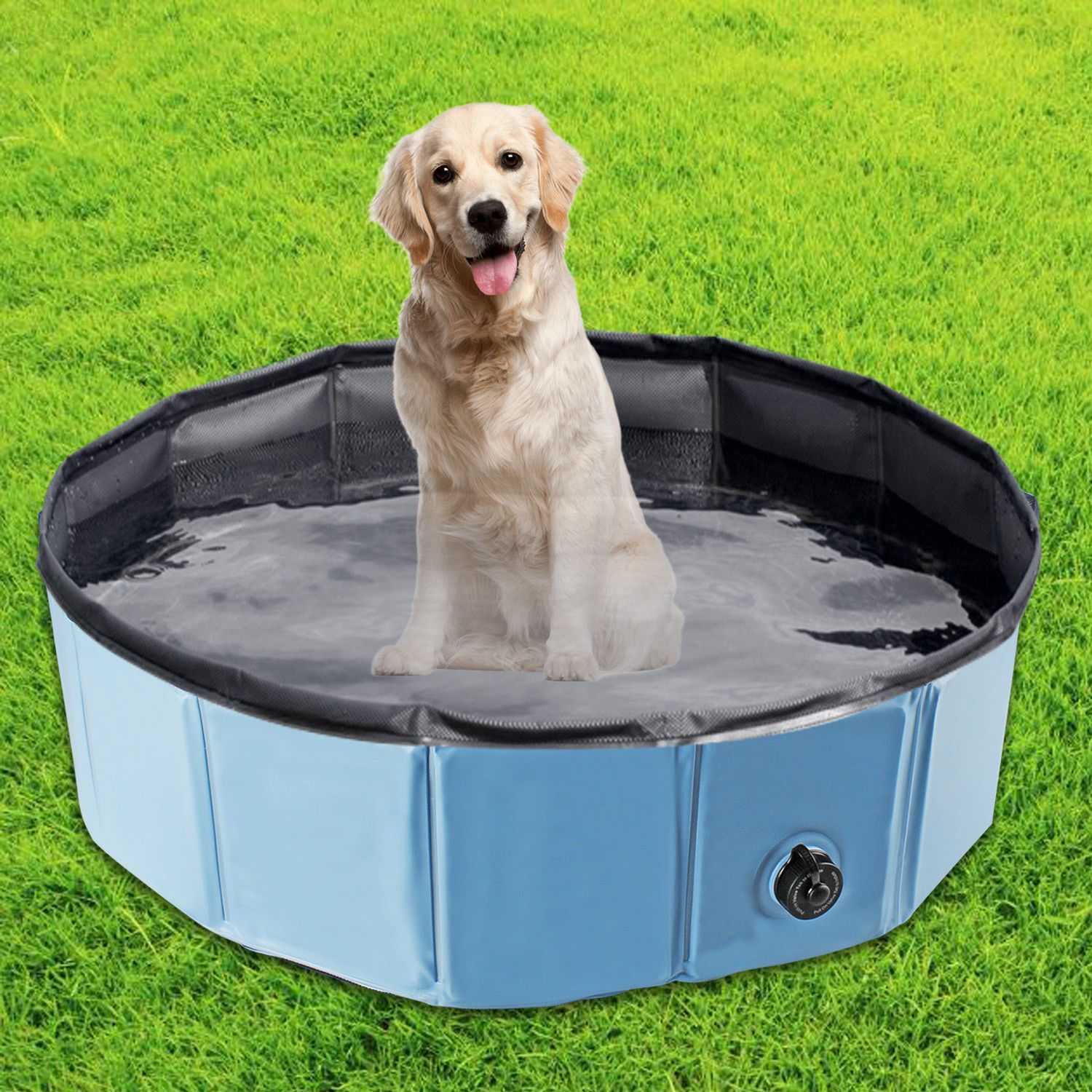 Chien Chien Piscine Fournitures Dété été Chien Piscine Et Bassin De Jeu