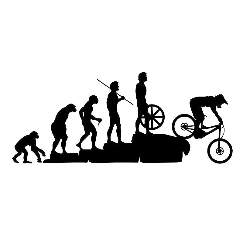 custom mountain bike stickers