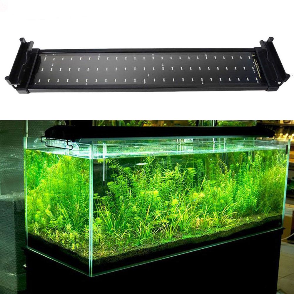 11w fish tank aquarium