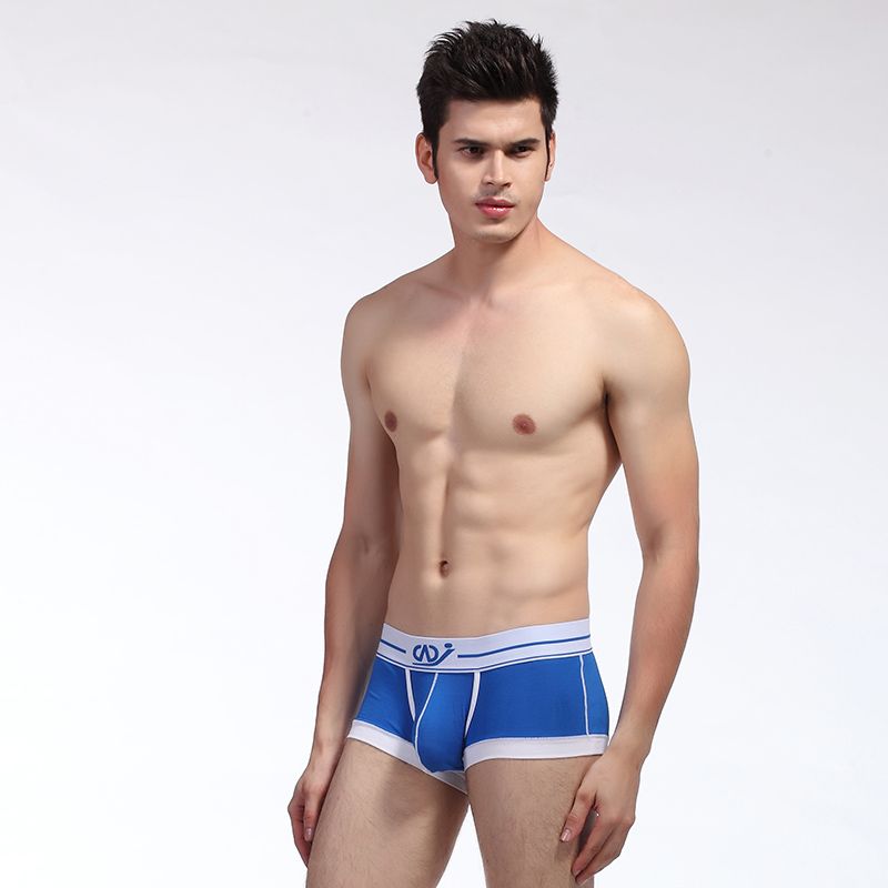Shemale tranny galleries pics Gay pudgy men rimming
