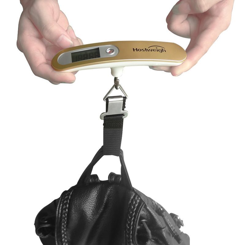 2020 10g 50kg Portable Electronic Digital Scale Travel