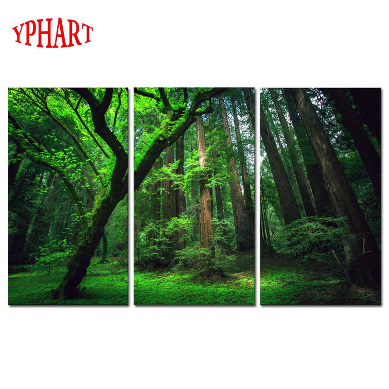 Acheter 3 Panneaux Vert Forêt Hd Toile Impression Peinture Oeuvre