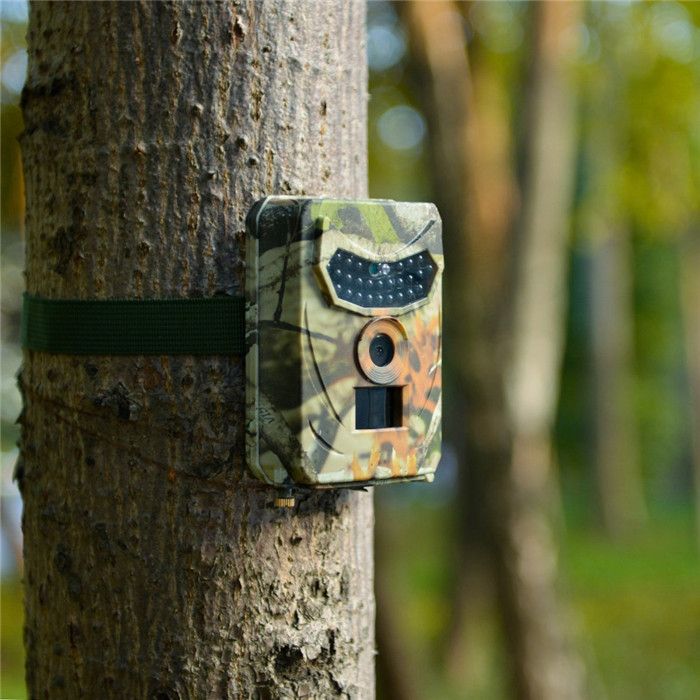 2020 Wild Camera Photo Traps 12MP 1080P Motion Triggered Hunting Wildcamera Trap IP56 Waterproof