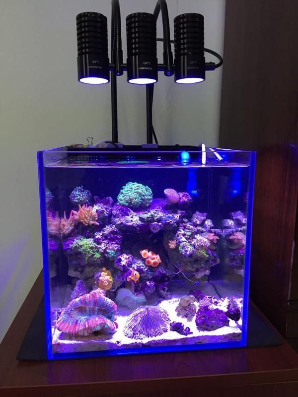super slim led aquarium