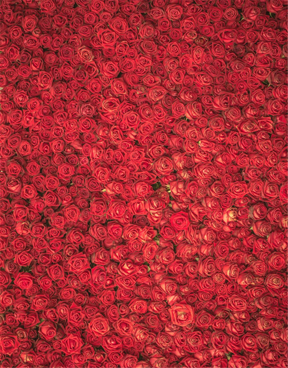 2019 romantic red roses valentines day backdrops for photography