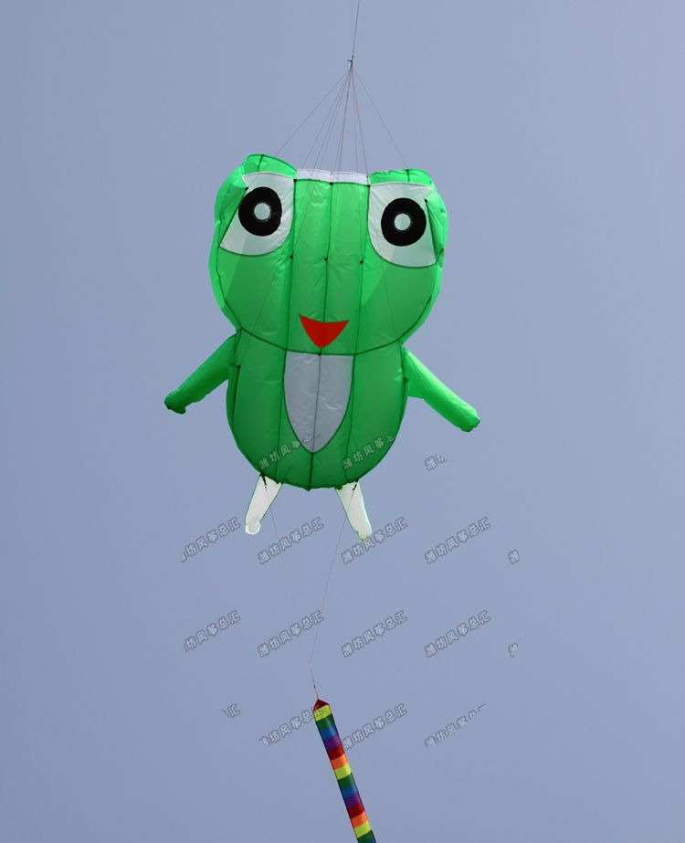 !Albatross stunt kite! Single line Frog kite /Stunt kite /Power kite