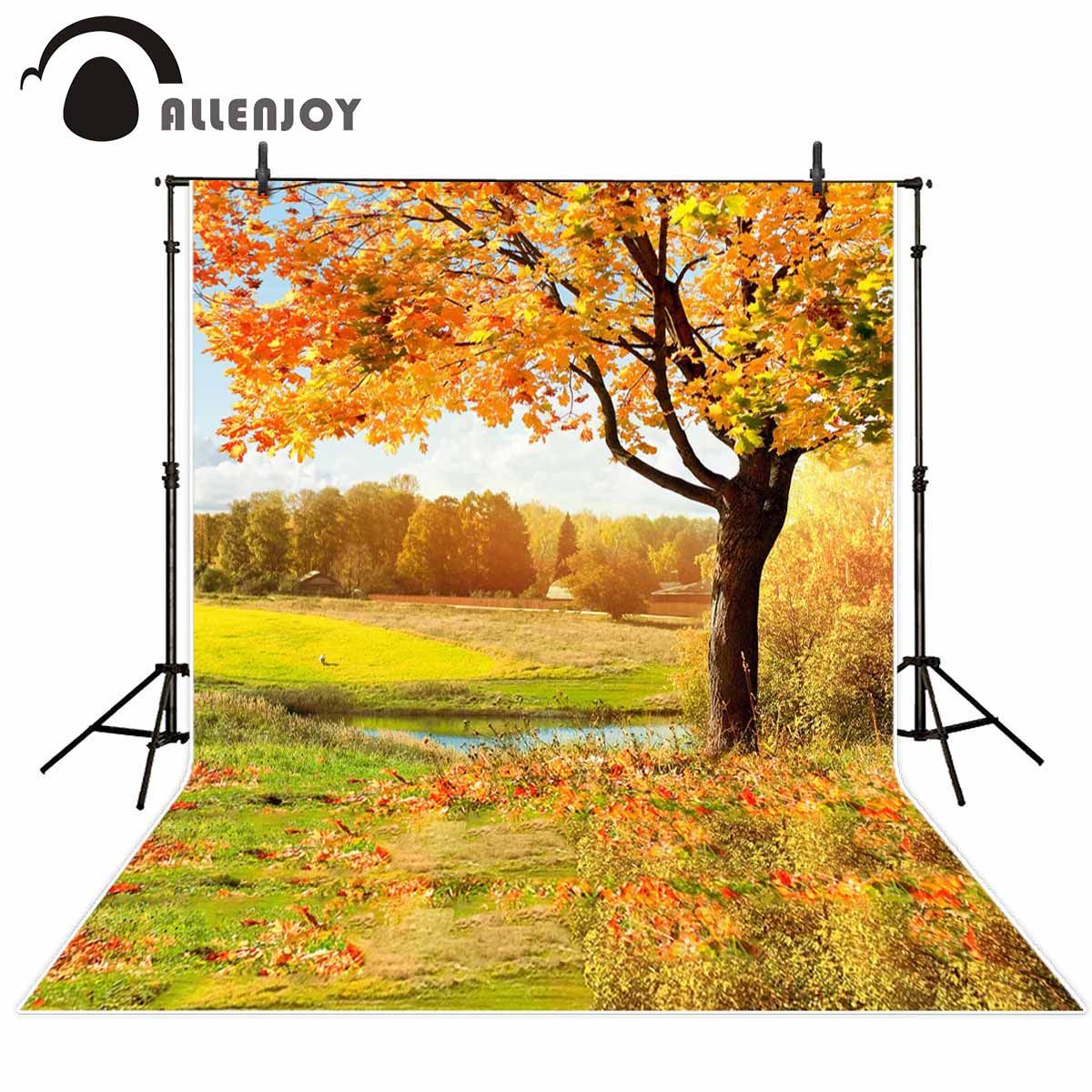 wholesale backdrop for photographic