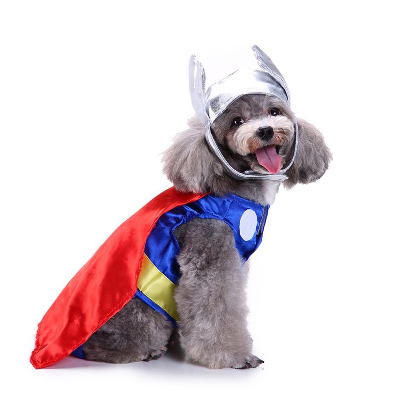 2019 Divien Shield Superman Cosplay Cloth Dog Costume Superman Costume