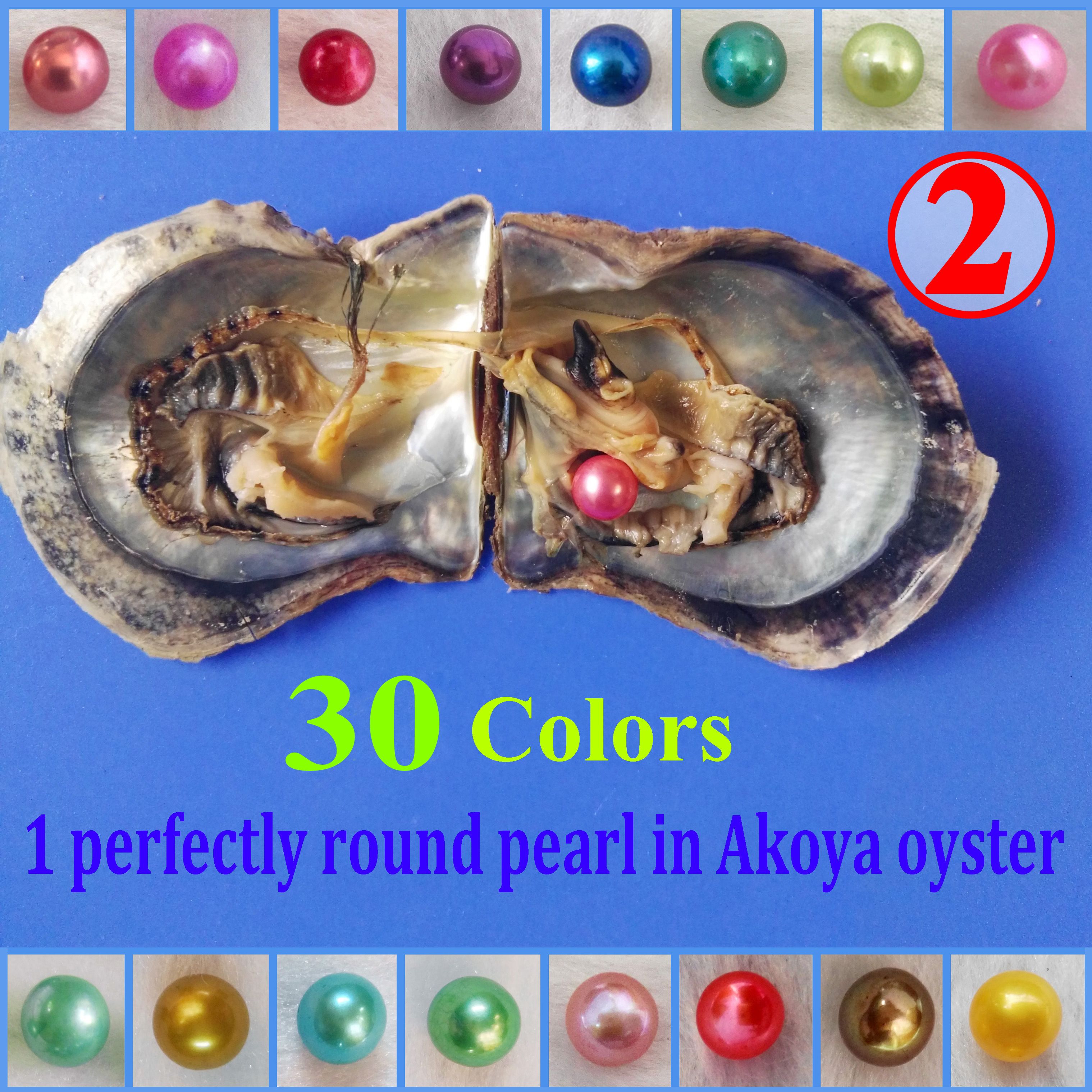 The Pearl DIY Akoya Pearl Oyster 6-7mm Cultured Pearl (Random