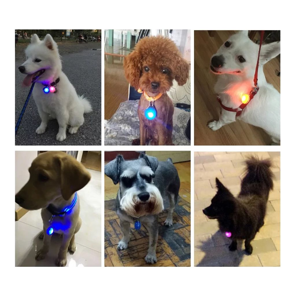dog light pendant