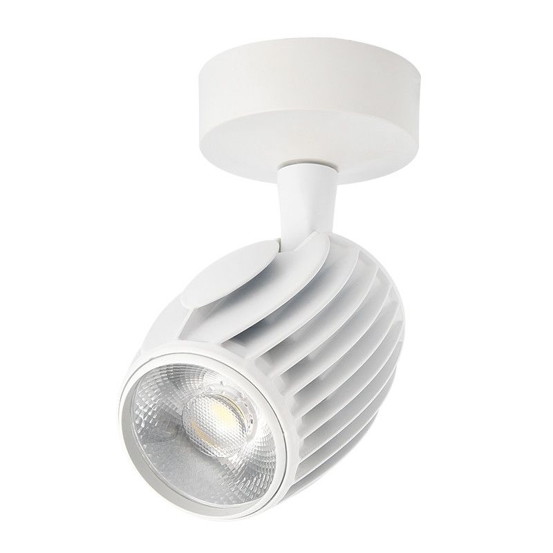 Hot Led Downlights 20w 30w Surface Mounted Ceiling Lamps Spot Hot Led Downlights 20w 30w Surface Mounted Ceiling Lamps Spot Light White Black Ac85 265v Pure Nature Warm Lamp