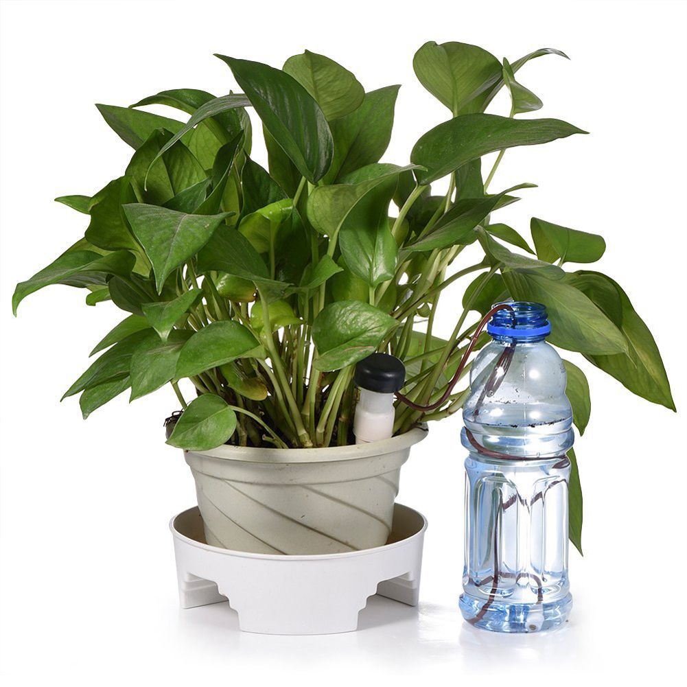 Simple automatic watering system Simple automatic watering system