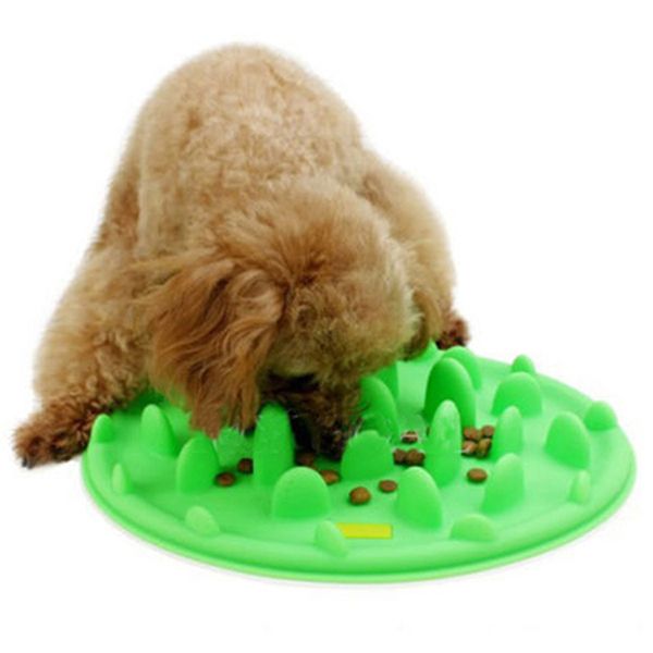 2020 Hot Sale Pet Food Bowl Interactive Feeder Digestion Puzzle