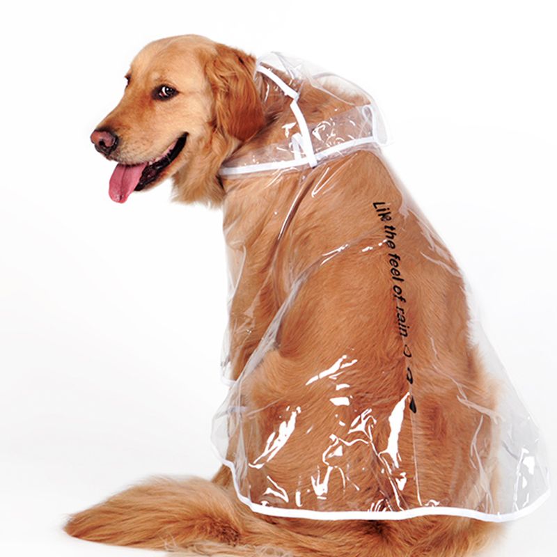 transparent dog raincoat