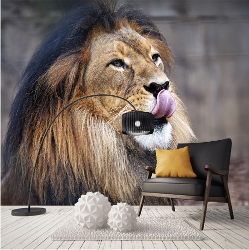 Custom Mural Wallpaper European Style Hd Lion Wallpaper Canvas Sofa
