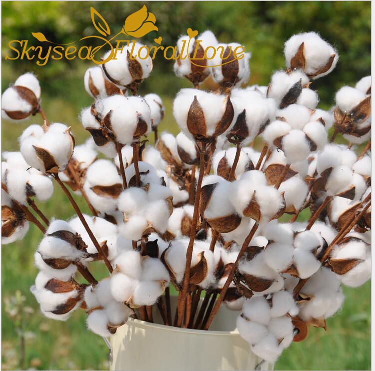 Acheter Bouquet De Bricolage Artificielle Fleurs Sechees Branche De Fleur De Coton Pour La Noce Maison Decoration Hotel Fleurs De 6 52 Du Fl3310 Dhgate Com