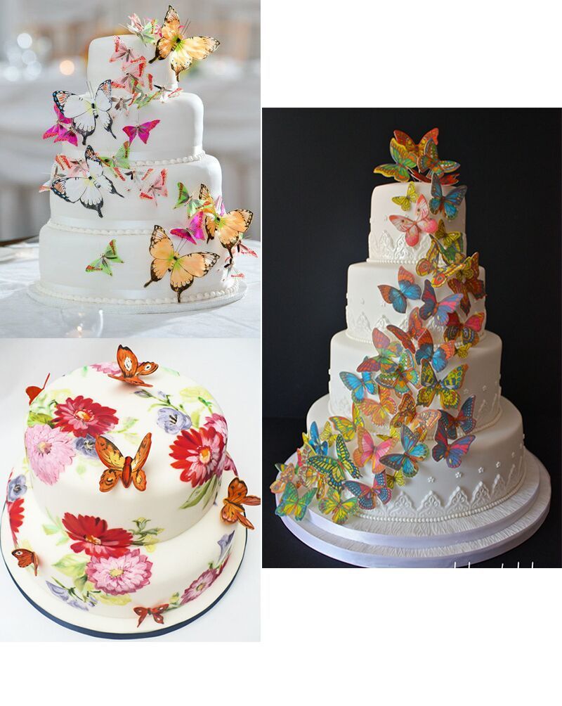 2019 Dhl Cake And Cupcake Toppers Ediable Butterfly Small Assorted