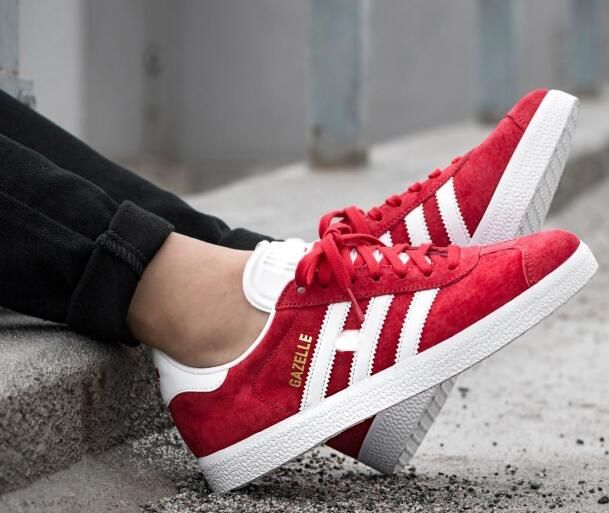 superstar gazelle superstar gazelle