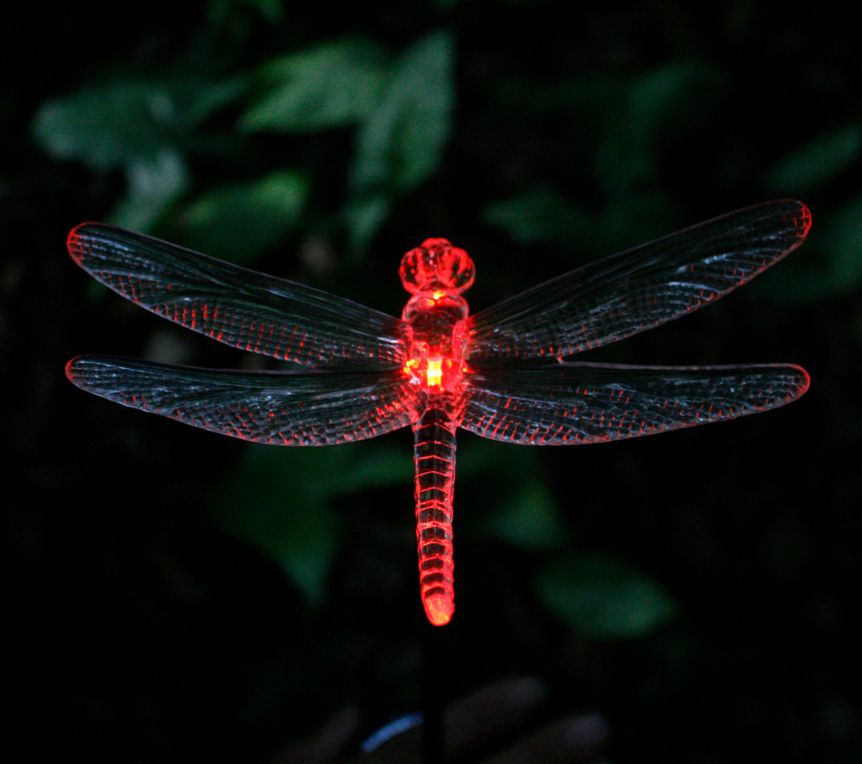 2018 Lenfon Outdoor Lights Changing Solar Stake Set Of 3 2018 Lenfon Outdoor Lights Changing Solar Stake Set Of 3 Acrylic Dragonfly Garden Softly Illuminates The Eveni From Maryzhu66
