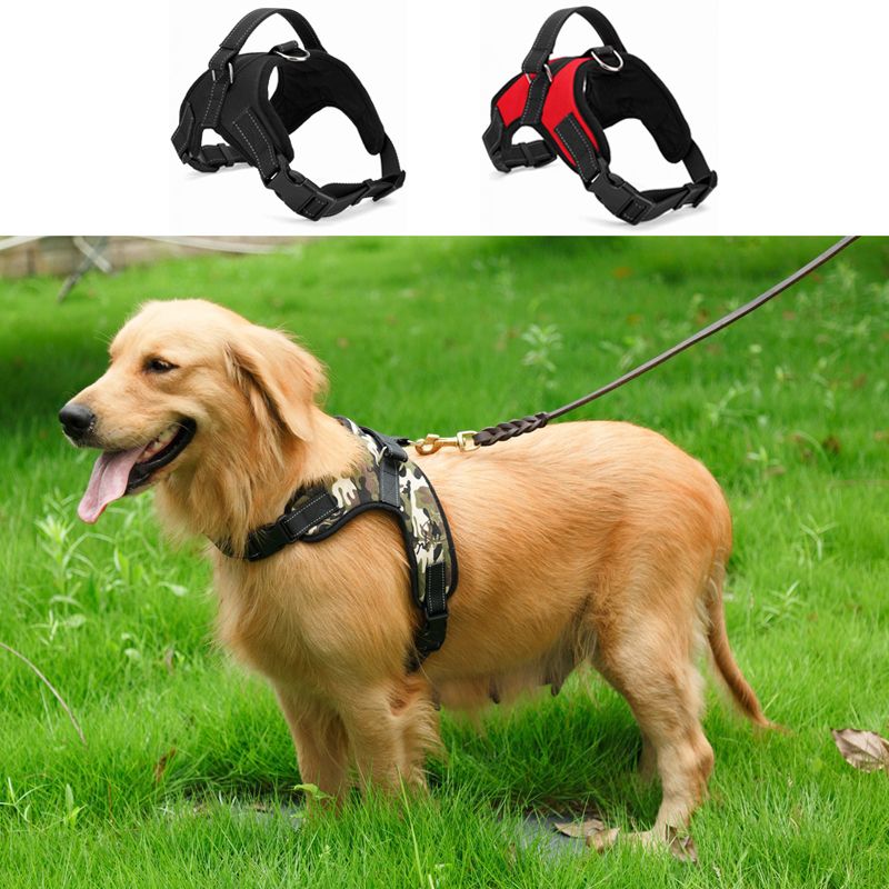 Acquista Pettorina Cani Regolabile Collare In Velluto Pettorina Cani