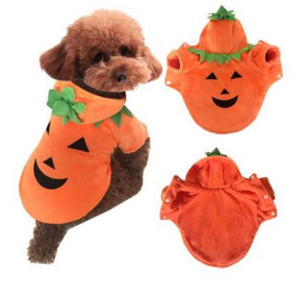 2018 2017 new warm wool pet clothing halloween dog clothes lovely pumpkin devil body suit xssml from amusingbaby 2011 dhgatecom