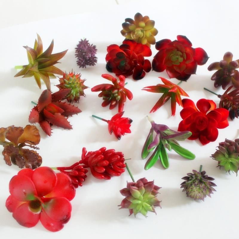 mixed artificial succulent plants