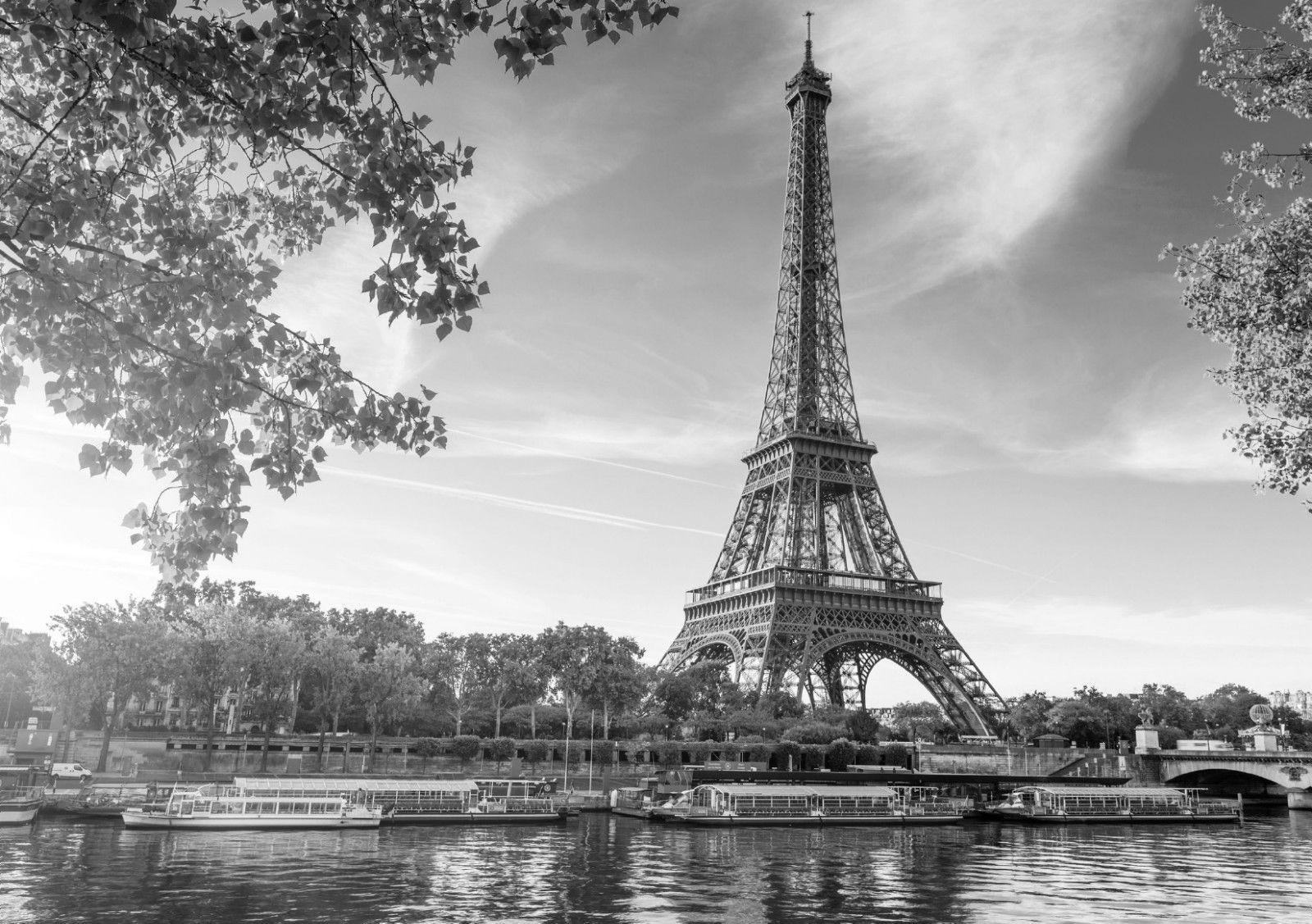 eiffel tower paris landscape