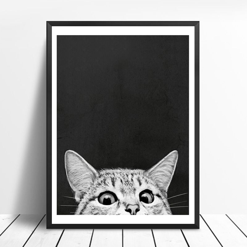 Maison Encadrée Imprimer Noir Blanc Image Dun Chat De