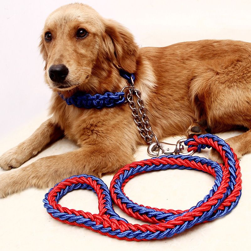 Acquista Guinzaglio Collare Regolabile Cani Guinzaglio Nylon Cani Di