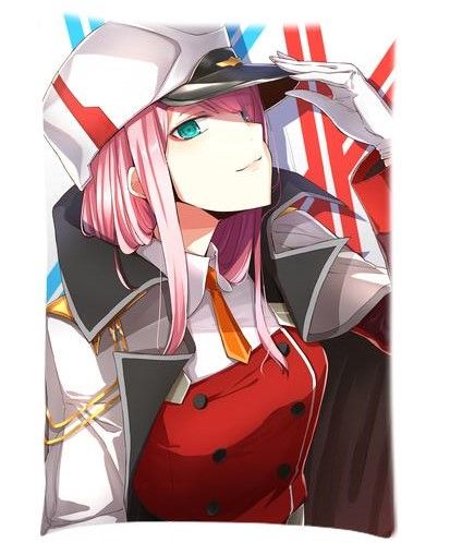 zerotwo pillow