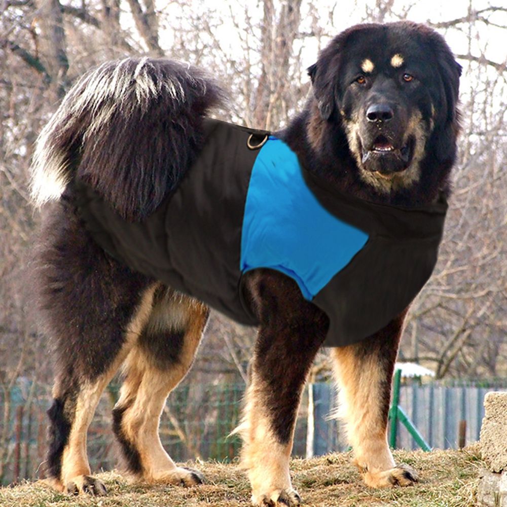 [Image: dog-clothes-for-large-big-dog-winter-coat.jpg]