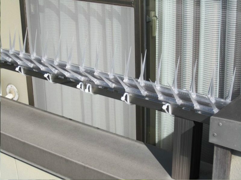 2019 Plastic Pigeon Spikes Kit Balcony Bird Repellent Cover 2019 Plastic Pigeon Spikes Kit Balcony Bird Repellent Cover 40cm Set Of 3 From Hcf88 25 73 Dhgate Com
