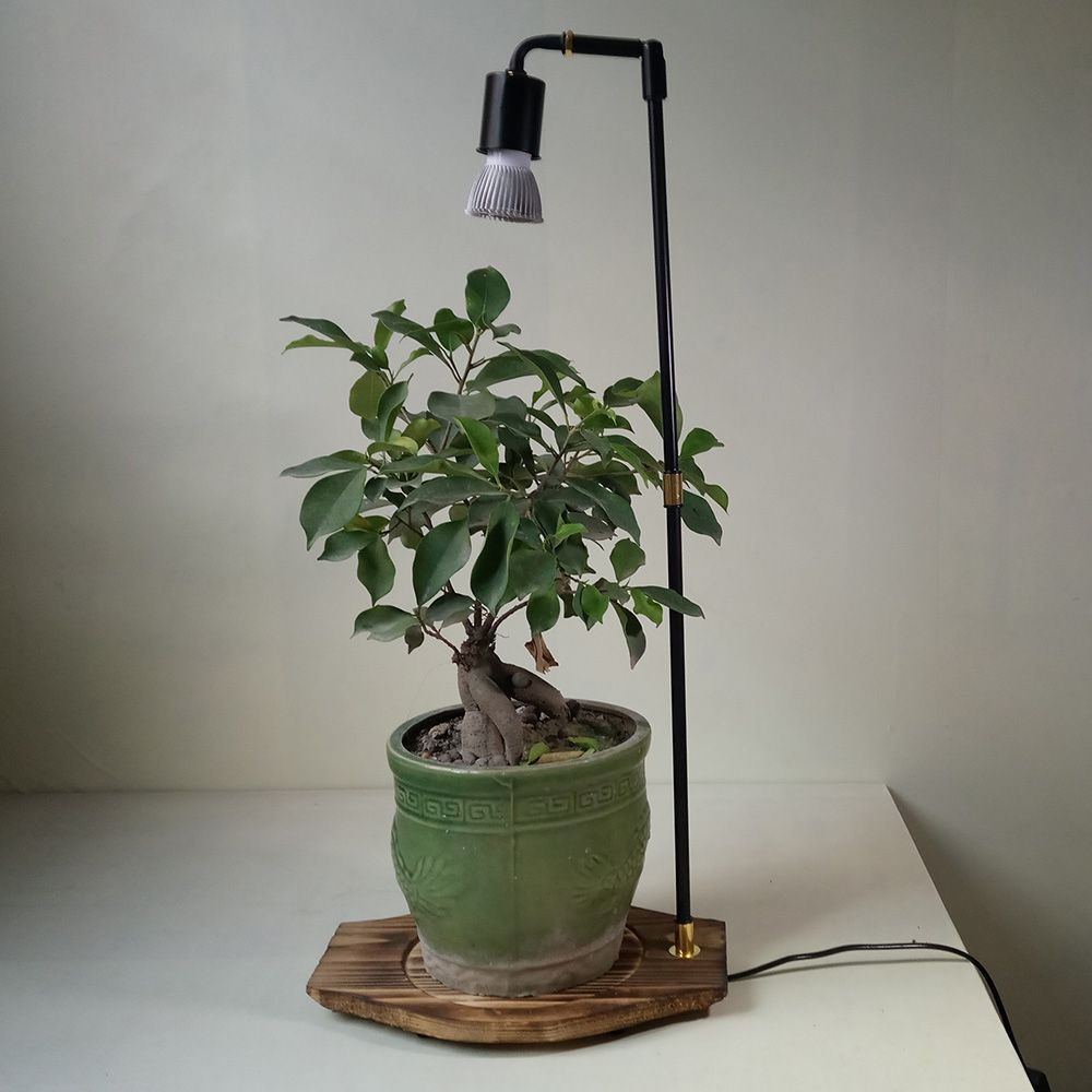 30W LED Plant Grow Lights Desk Lamp For Home Indoor Plants